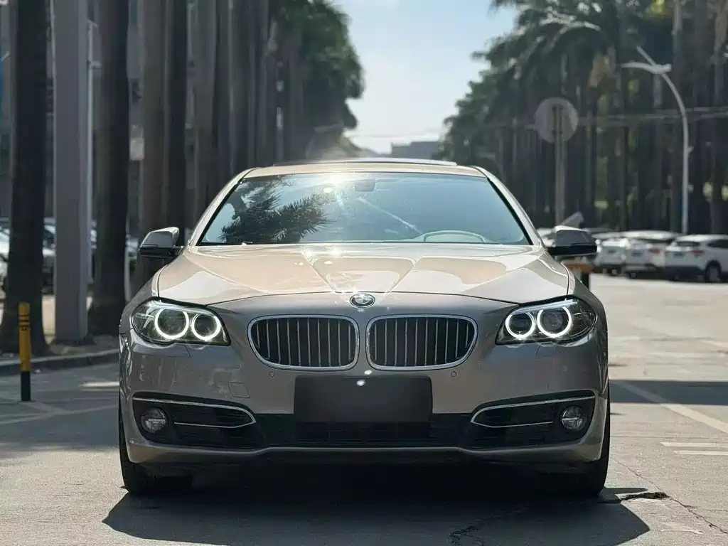 BMW 5 Series — миниатюра 2