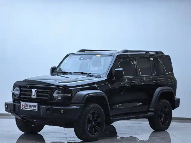 2025 TANK 300
