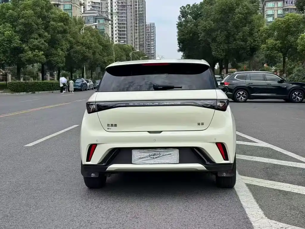 BYD Dolphin 2024 420km Fashion