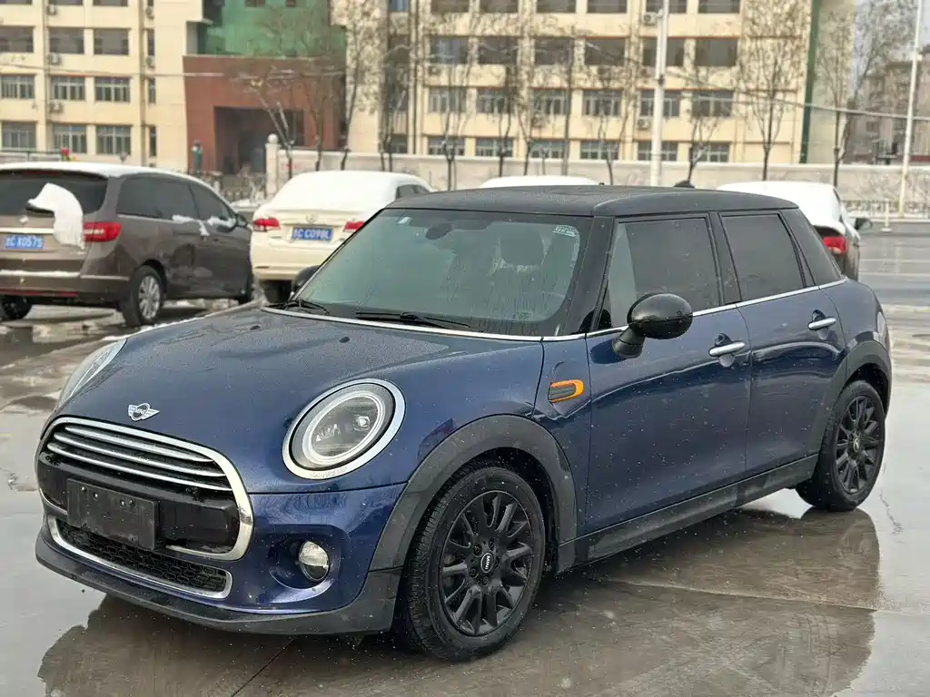 Mini Mini 2017