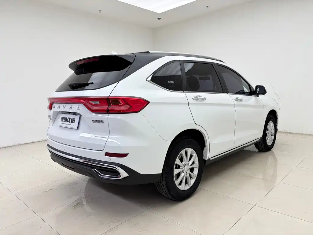 HAVAL M6