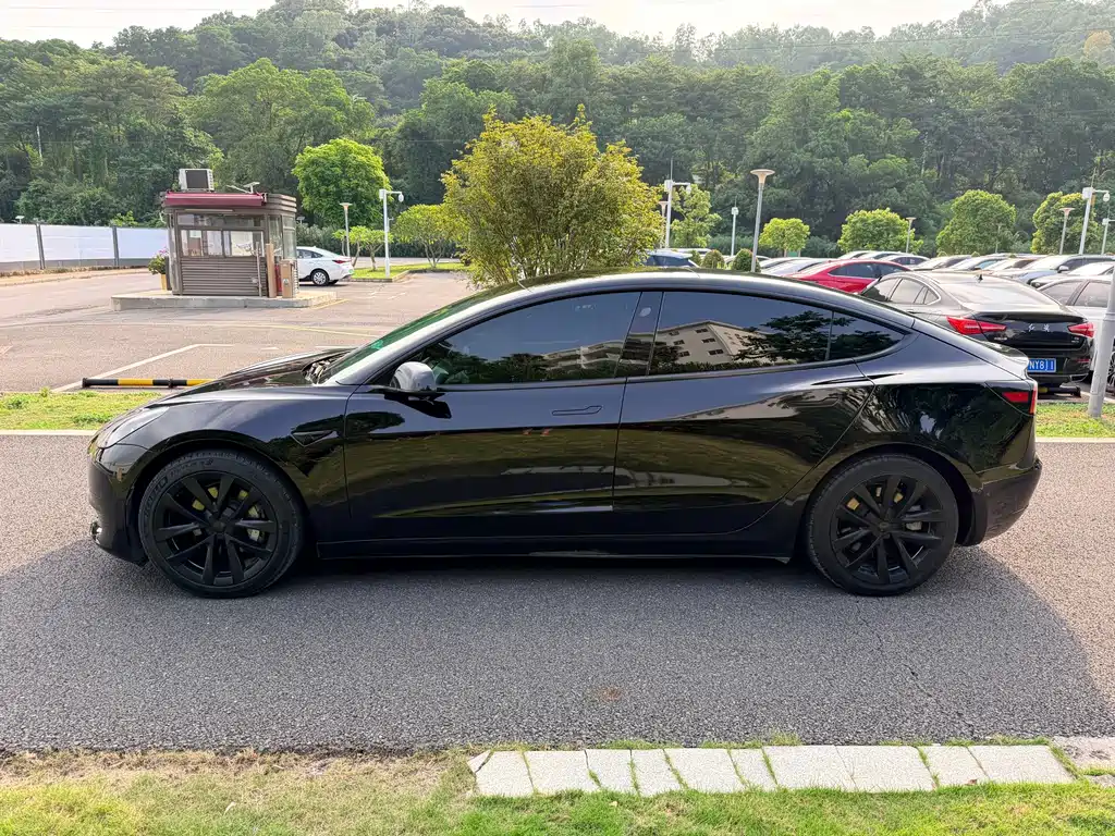 Tesla Model 3 — миниатюра 4