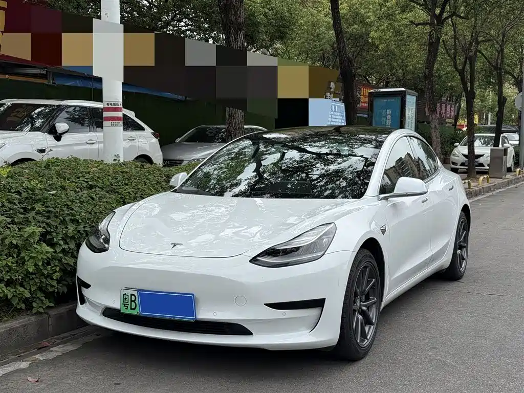 Tesla Model 3 2019