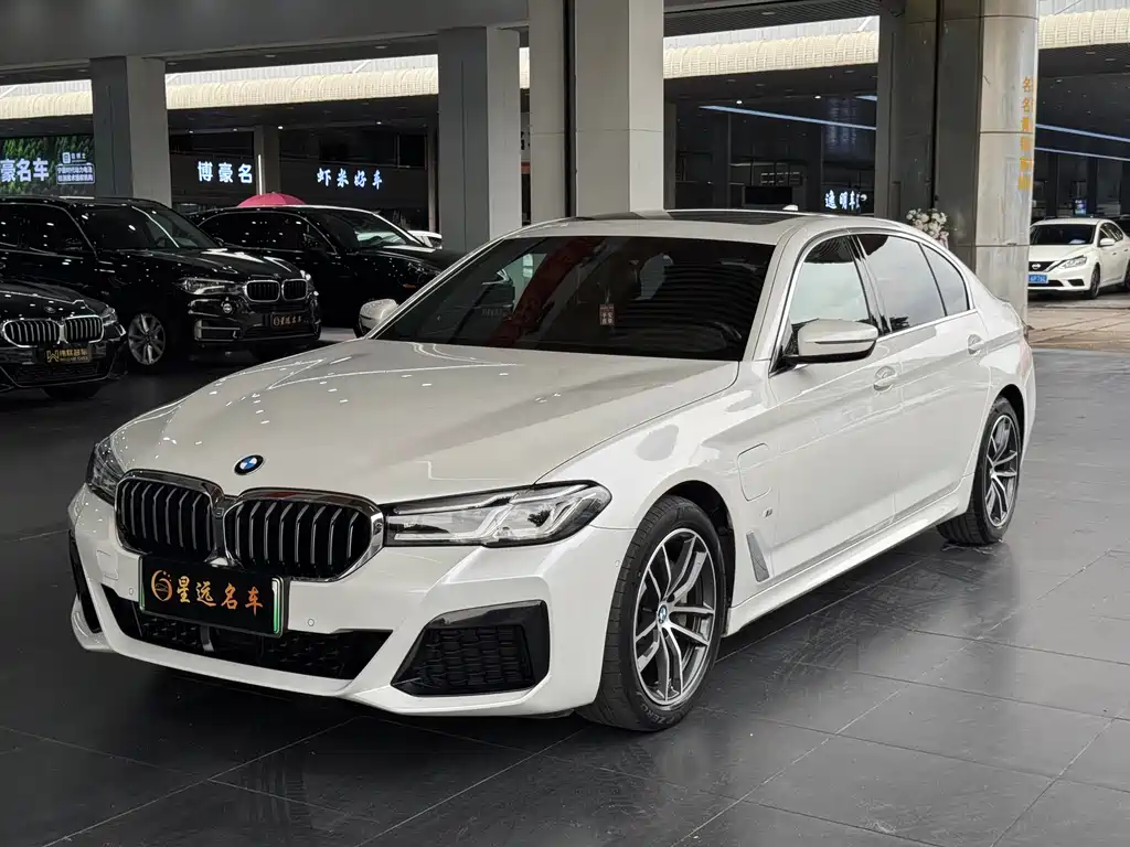 BMW 5 Series New Energy 2021