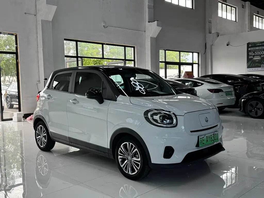 Leapmotor T03 2024 403