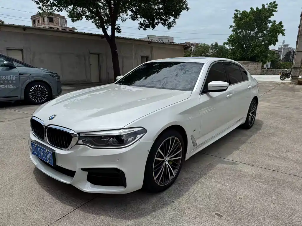 BMW 5 Series 2020 530Li Premium Type M Sport Package