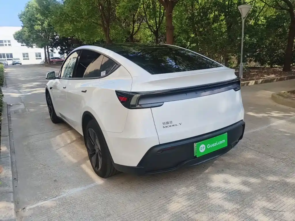 Tesla Model Y — миниатюра 5