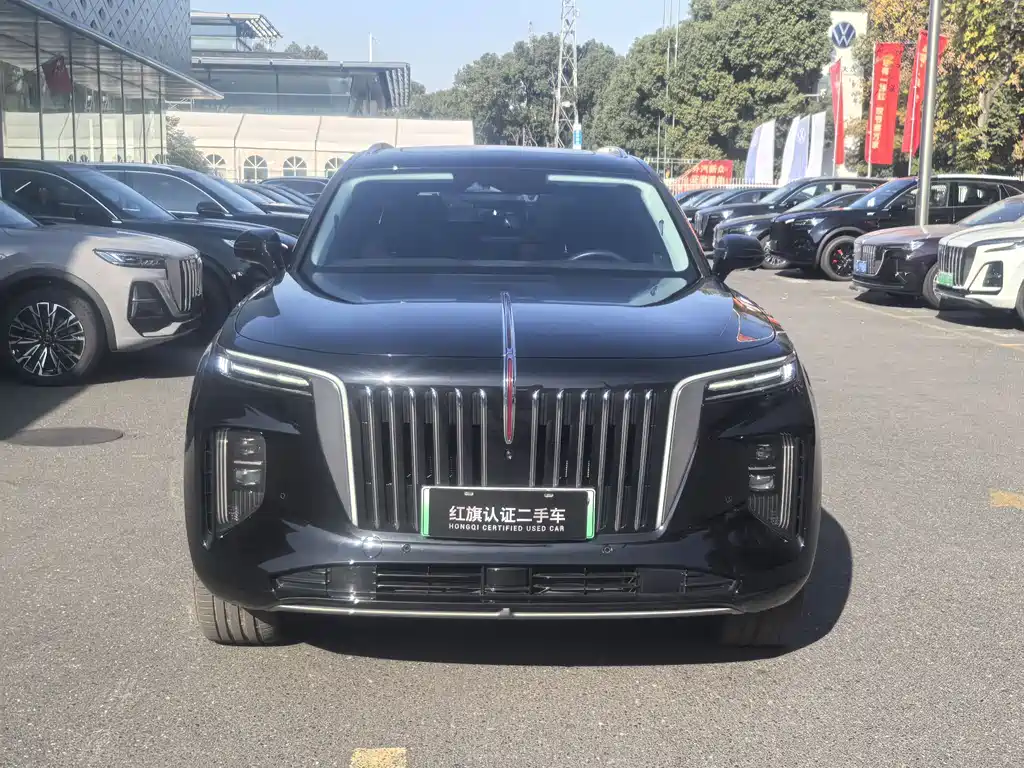 Hongqi HONGQI E HS9