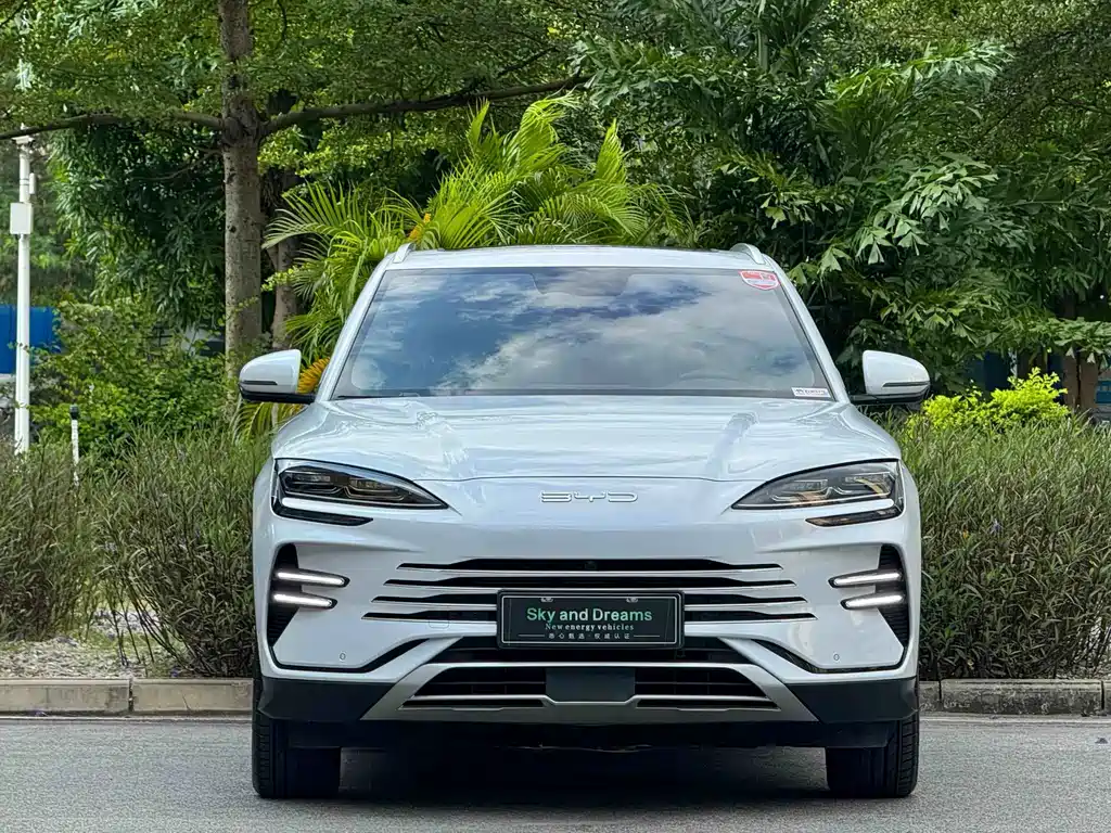 BYD PLUS New Energy — миниатюра 2