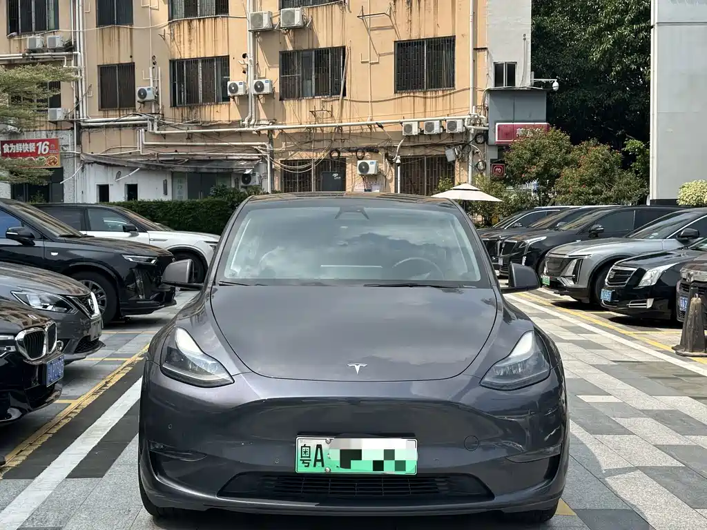 Tesla Model Y — миниатюра 2