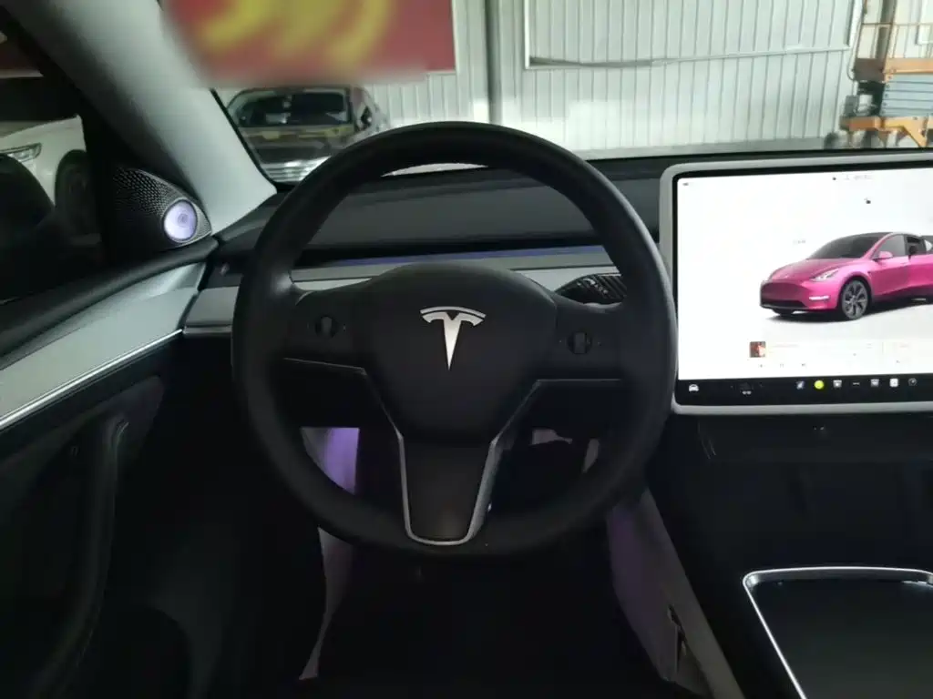 Tesla Model Y — миниатюра 11