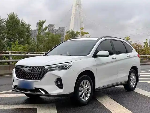 HAVAL  M6