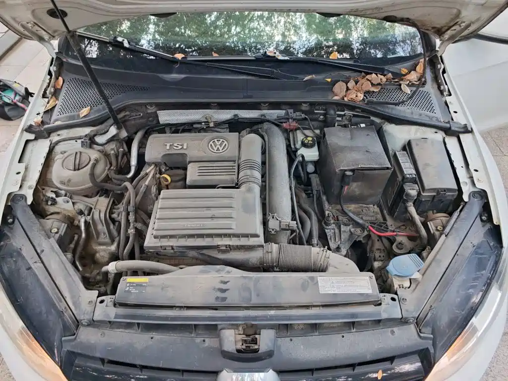 Volkswagen Golf — миниатюра 11