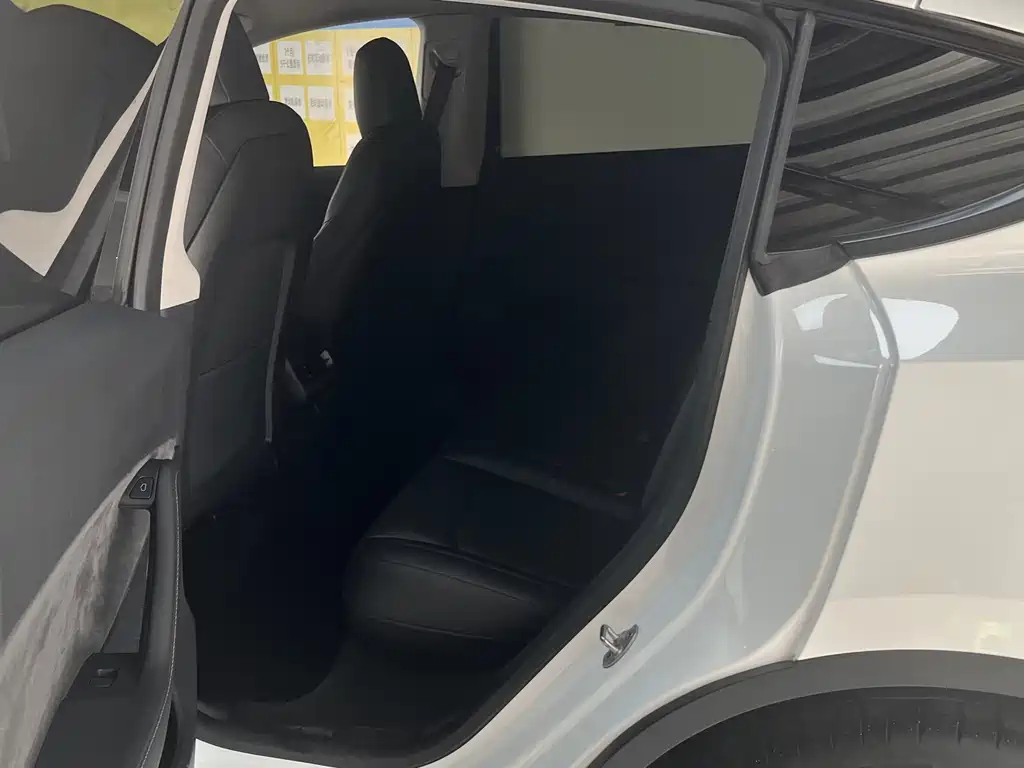 Tesla Model Y — миниатюра 6
