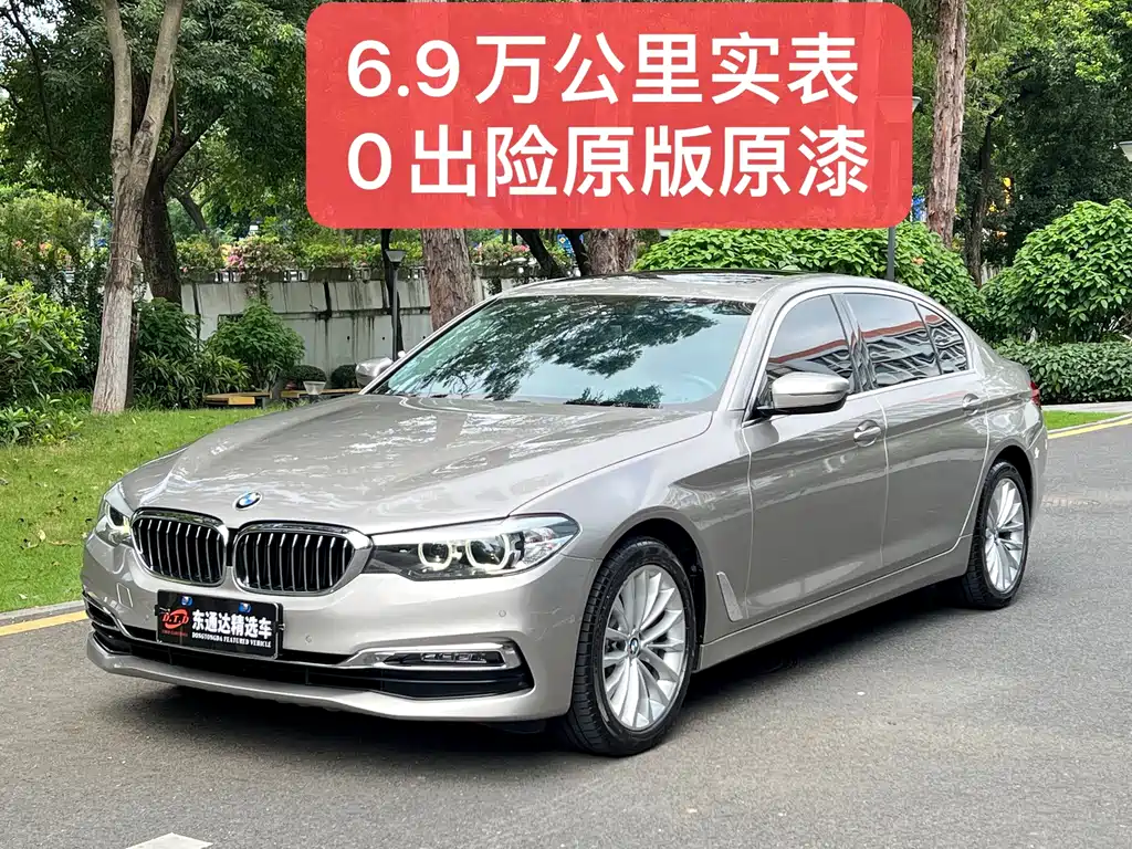 BMW 5 Series 5 2019 530Li Lead Luxury