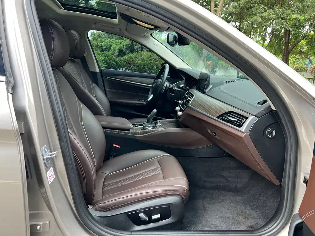 BMW 5 Series 5 2019 530Li Lead Luxury
