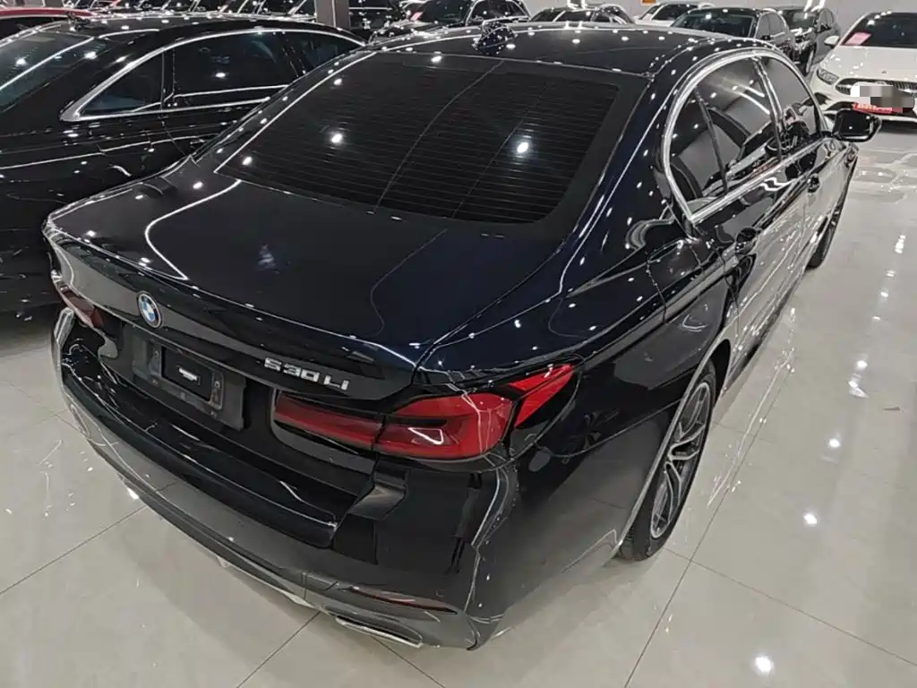 BMW 5 Series — миниатюра 7