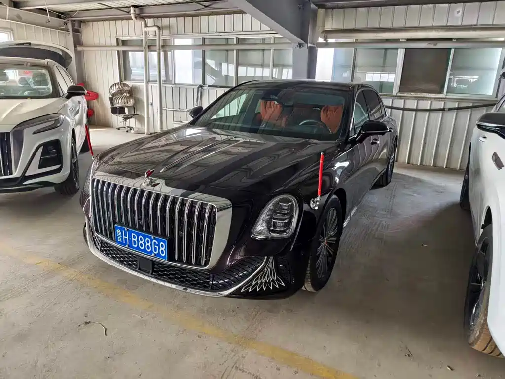 Hongqi 红旗金葵花国雅 2025