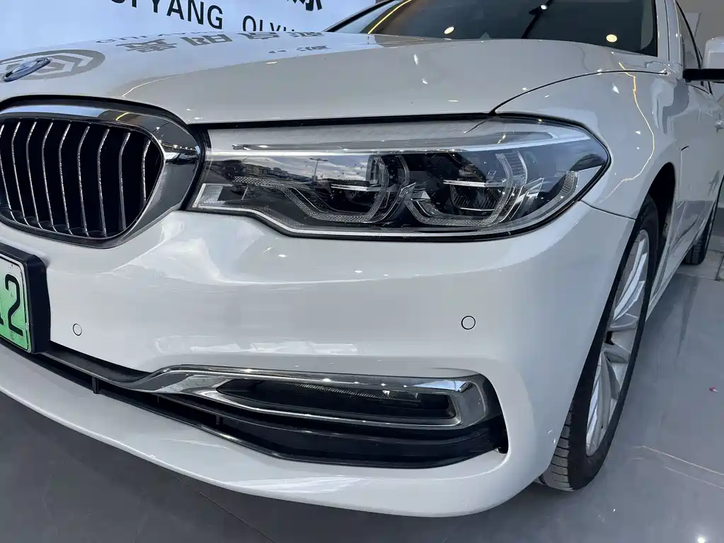BMW 5 Series 5 2019 530Le Luxury
