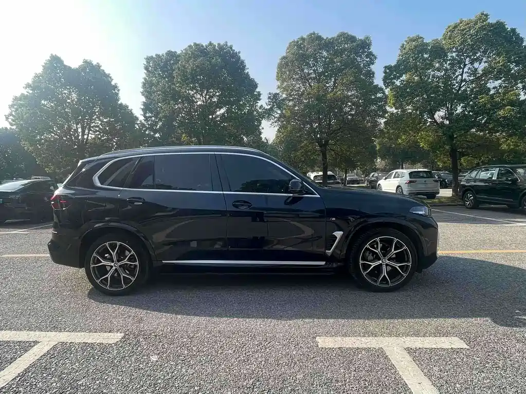 BMW X5 — миниатюра 10