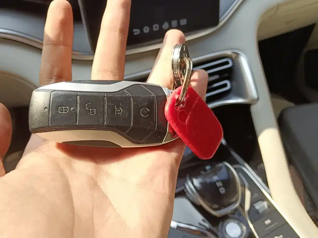 BYD PLUS New Energy — миниатюра 9
