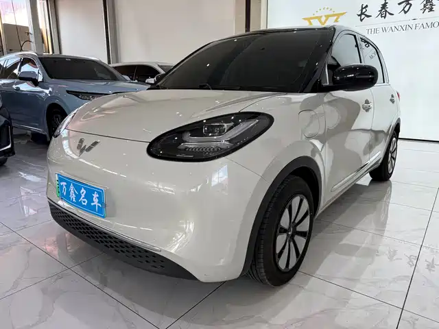 2024 Wuling Motors Binguo