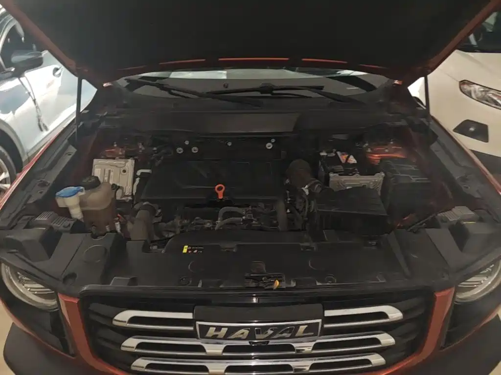 Haval Big Dog — миниатюра 20