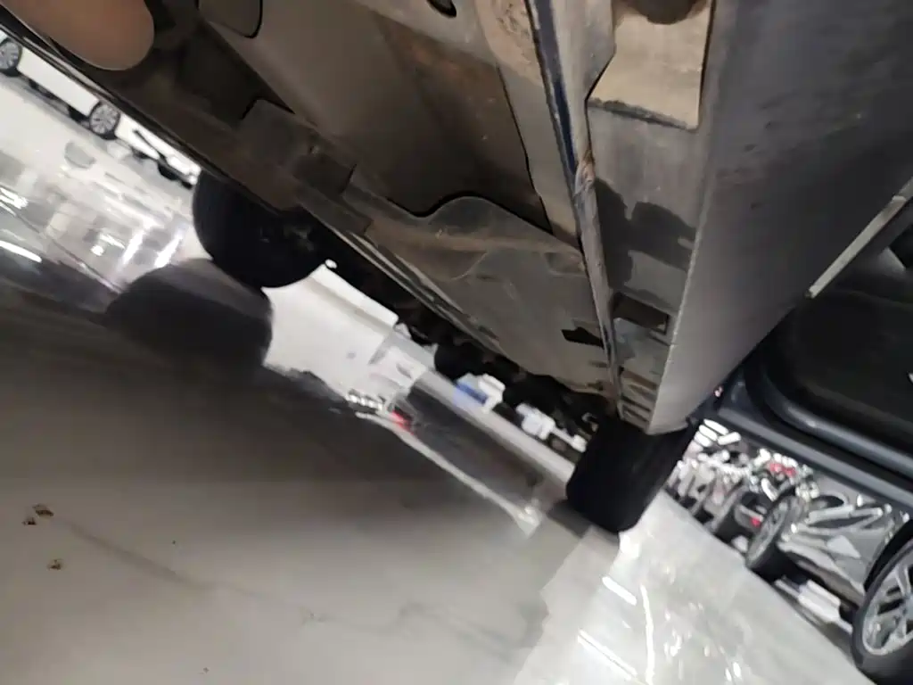 Haval Big Dog — миниатюра 21