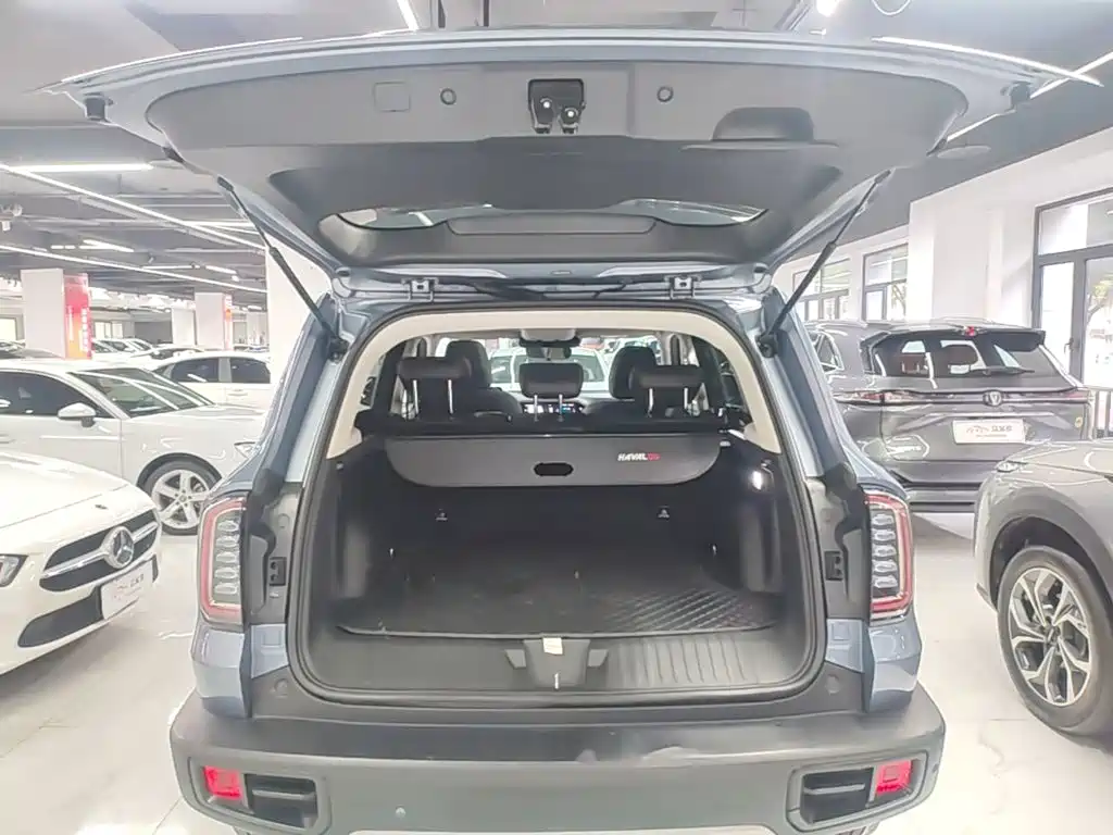 Haval Big Dog — миниатюра 19