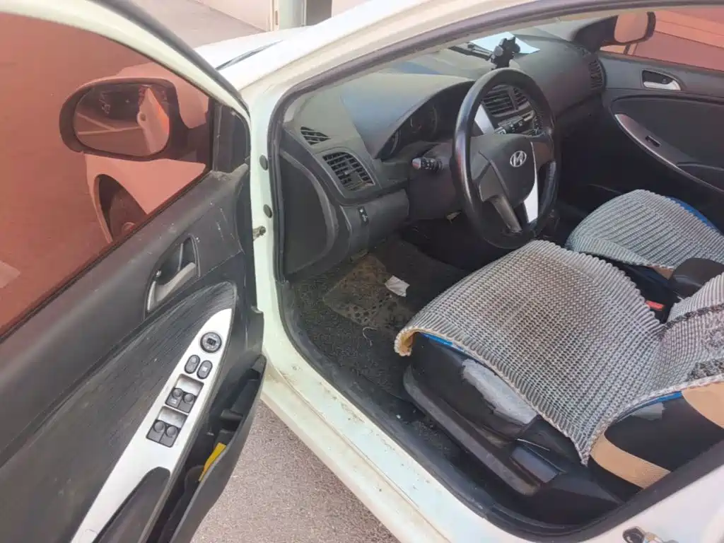 Hyundai Ruiyi — миниатюра 16