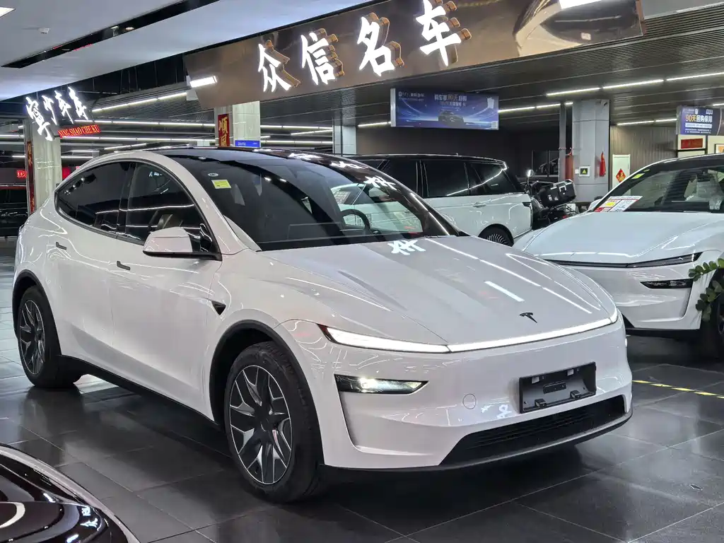 Tesla Model Y L — миниатюра 3