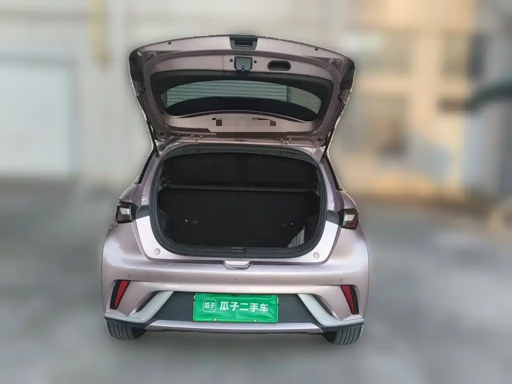 BYD Dolphin — миниатюра 15