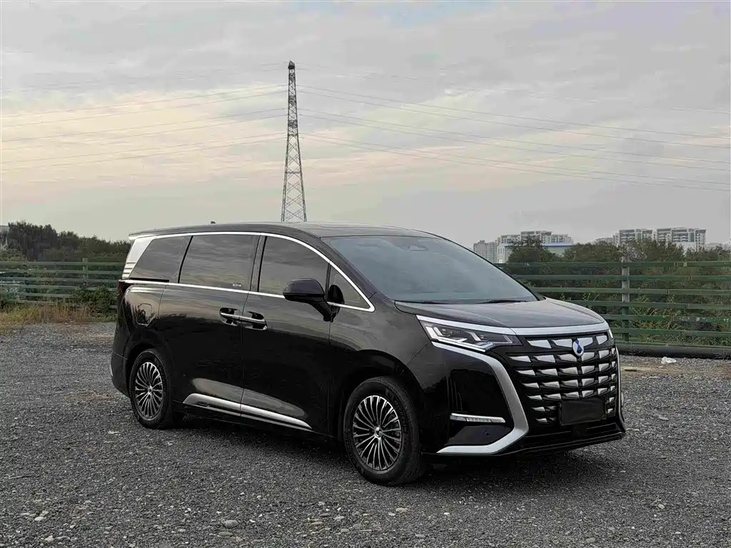 Denza Denza D9 — миниатюра 3