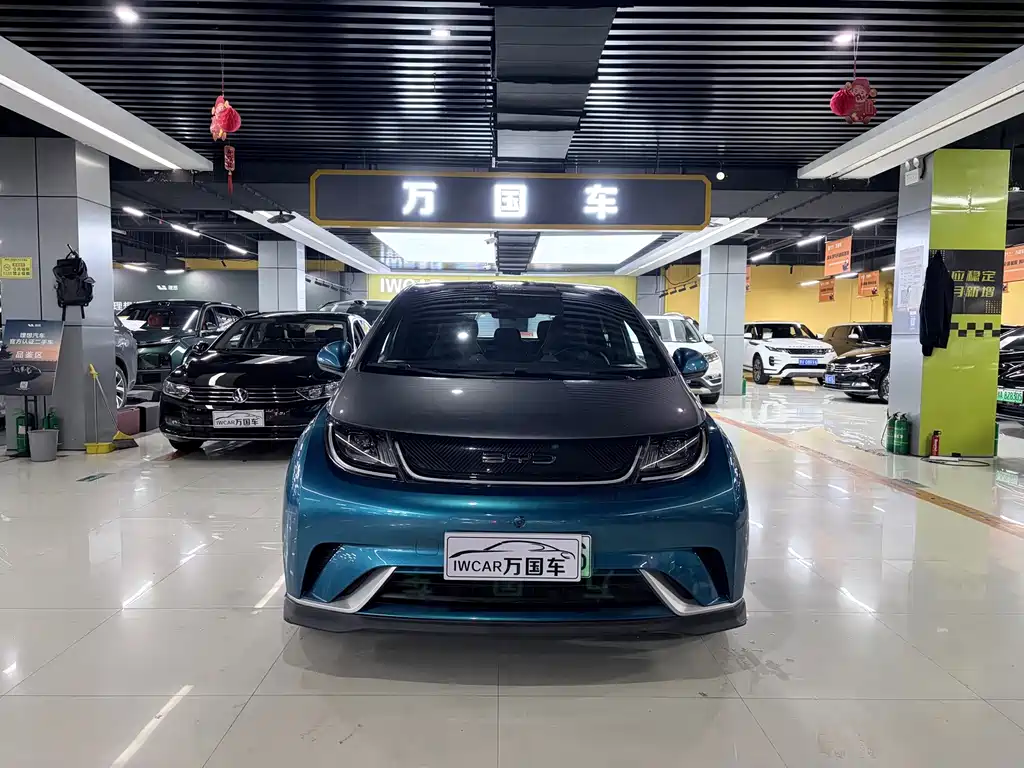BYD Dolphin — миниатюра 2