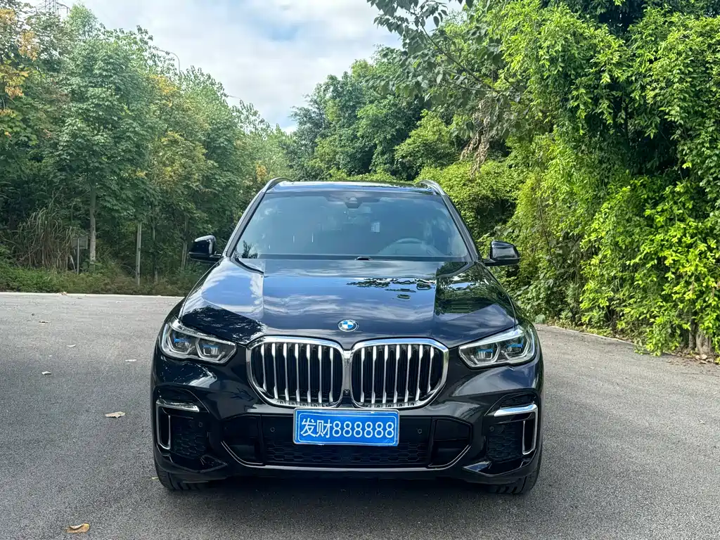 BMW X5 — миниатюра 2