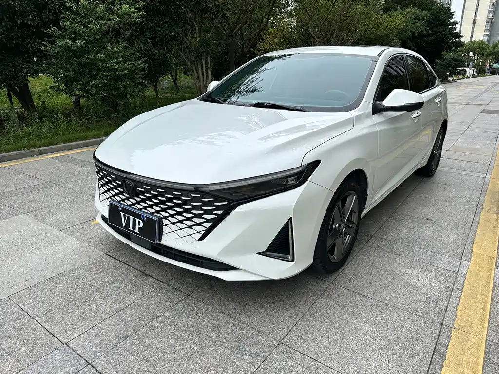 Changan Ruicheng PLUS — миниатюра 2