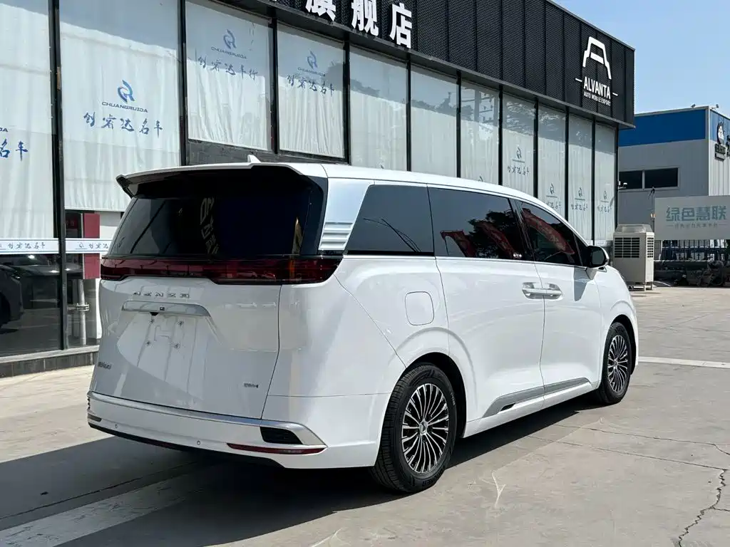 Denza Denza D9 — миниатюра 4