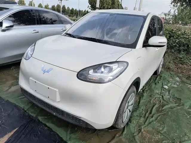 WULING AUTOMOBILE WULING BINGGUO