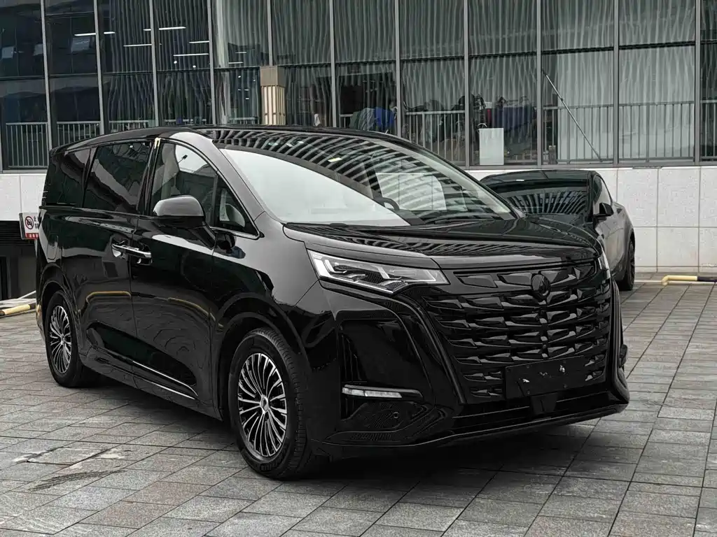 Denza Denza D9 — миниатюра 5
