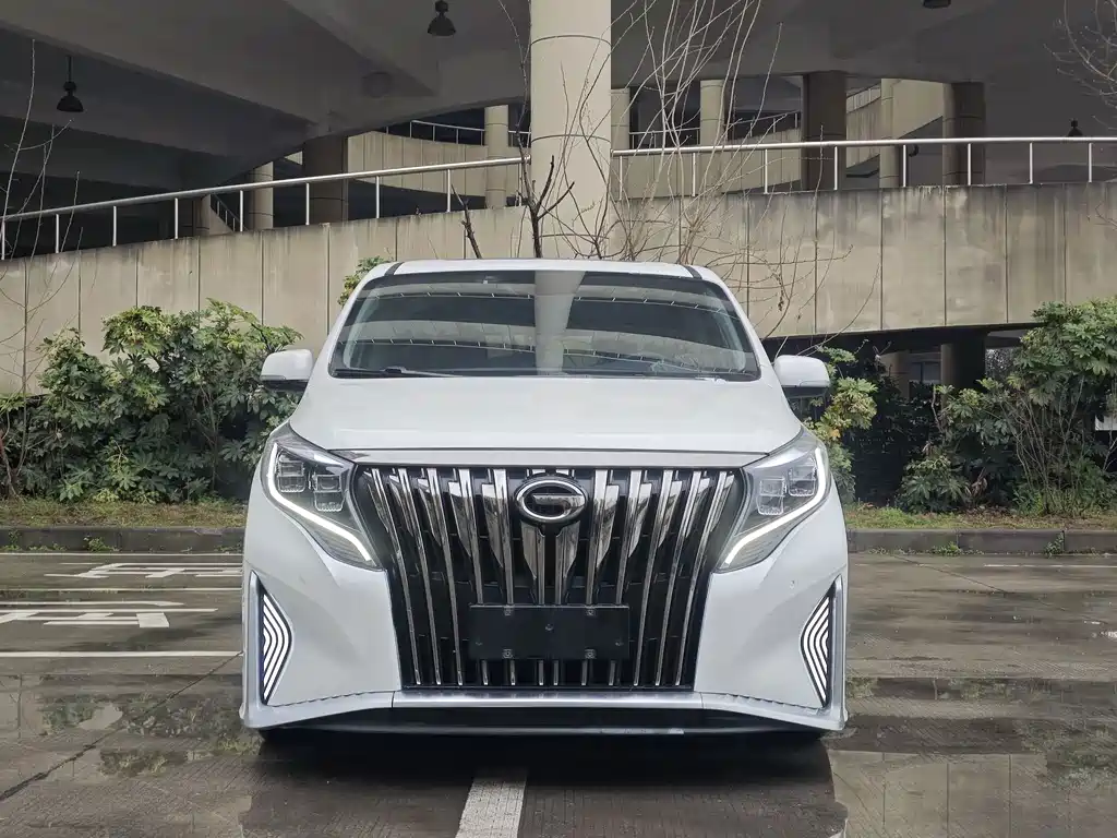 GAC Motor Trumpchi M8 — миниатюра 2