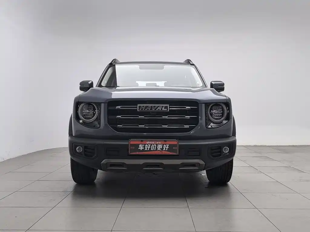 Haval Big Dog — миниатюра 3