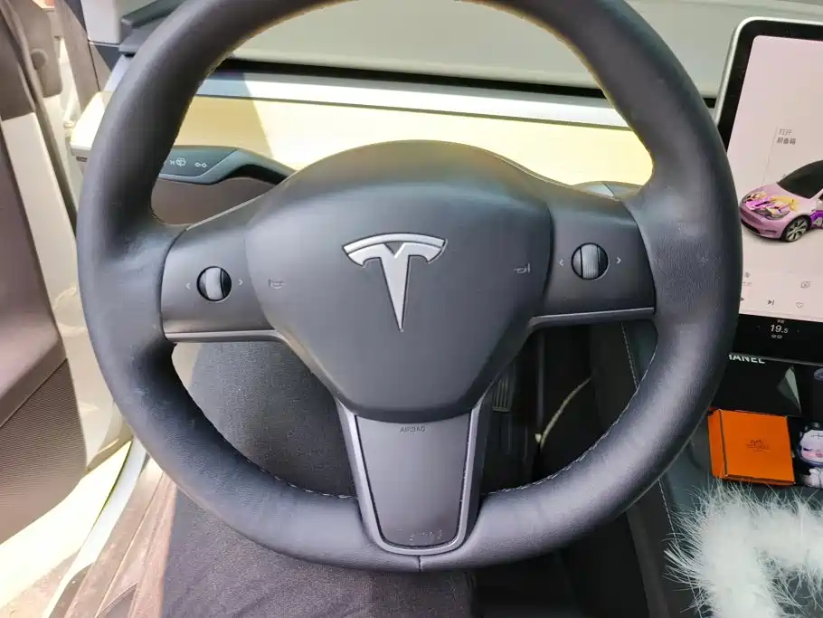 Tesla Model Y — миниатюра 15
