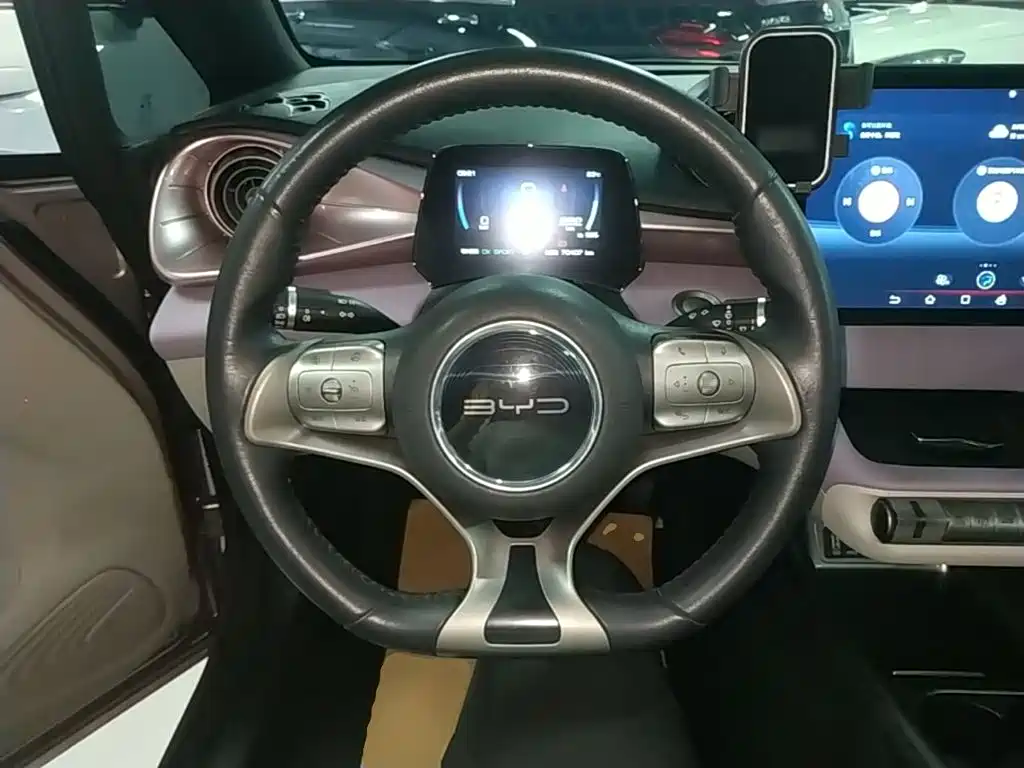 BYD Dolphin — миниатюра 11