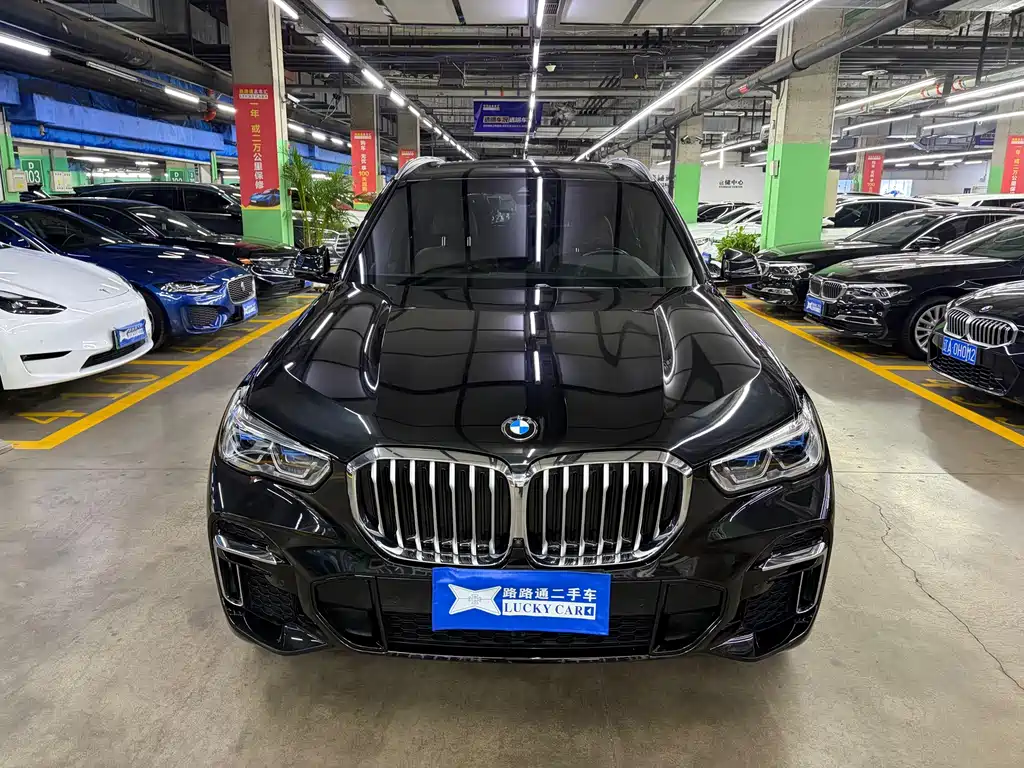 BMW X5 — миниатюра 3