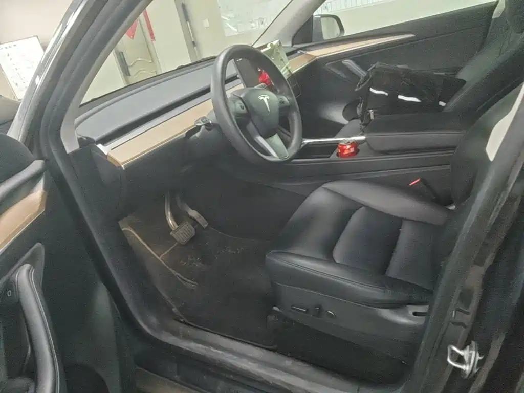 Tesla Model Y — миниатюра 15