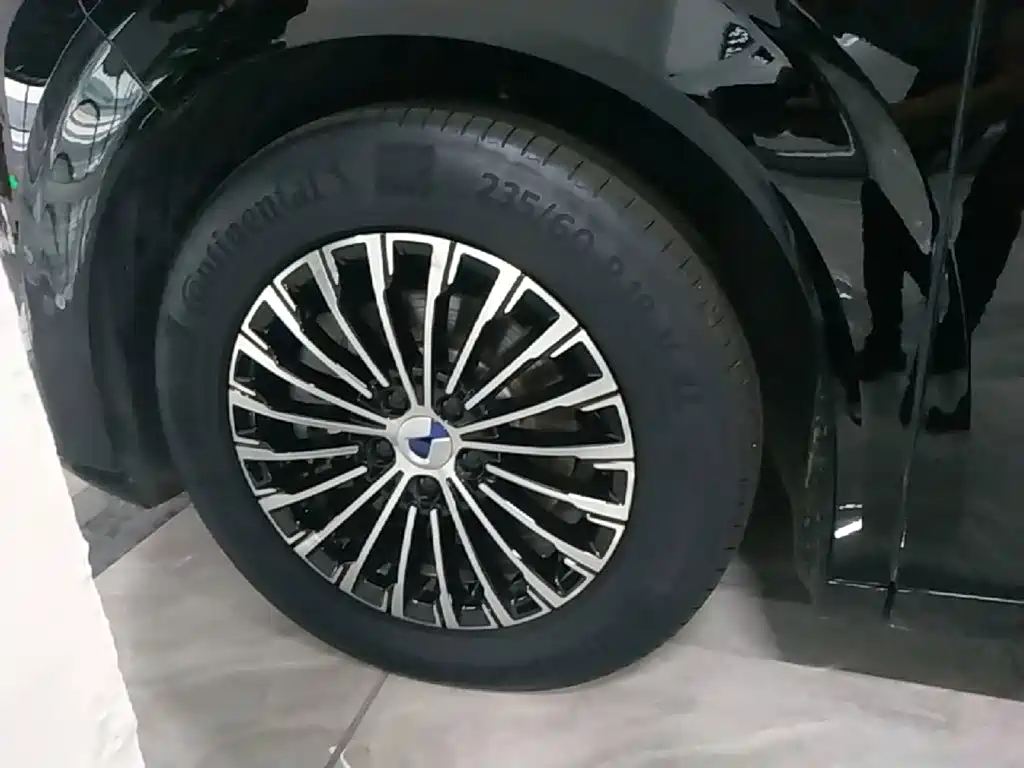 Denza Denza D9 — миниатюра 23
