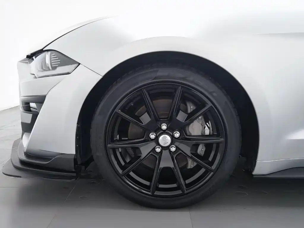 Ford Mustang — миниатюра 17