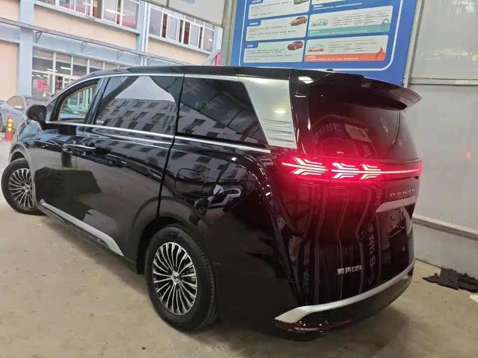 Denza Denza D9 — миниатюра 3