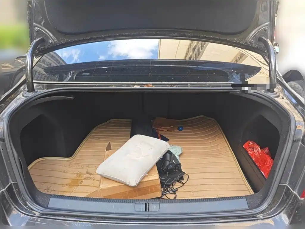 Volkswagen Magotan — миниатюра 10