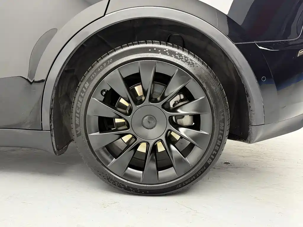 Tesla Model Y — миниатюра 10